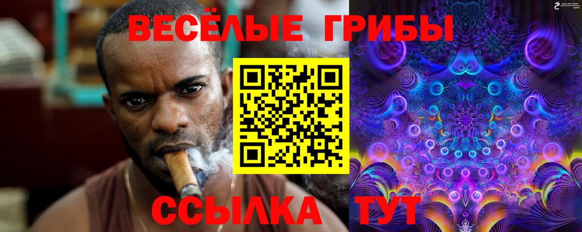 Галлюциногенные грибы GOLDEN TEACHER  Галлюциногенные грибы Psilocybe  цены   Менделеевск  Вход с VPN 